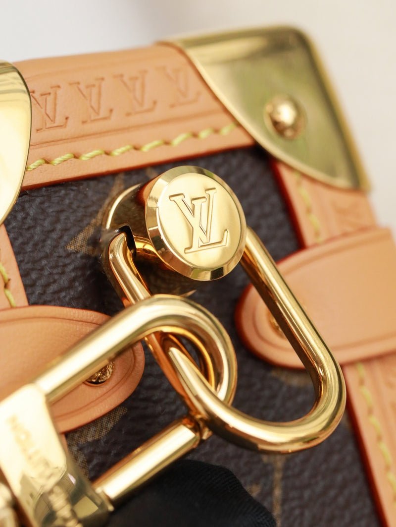 LV Bag